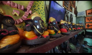 शहरी गौठानों में इकोफ्रेंडली उत्पादों का सवा तीन करोड़ रूपये से अधिक का व्यवसाय