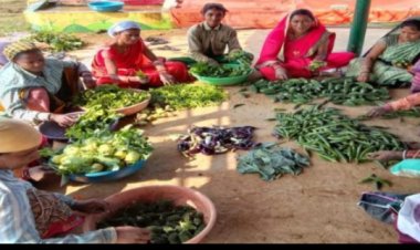 पांच एकड़ रकबे में चटौद गौठान, लगभग 40 महिलाओं को मिला रोजगार