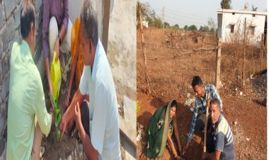 विश्व पर्यावरण दिवस पर बाटे गये फलदार और छायादार पौधा