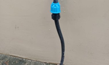 विष्णु के सुशासन का हो रहा है असर, रायपुर में एक कॉल से मिल रहा समस्या समाधान